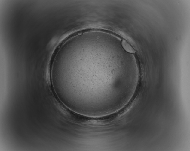 X0000093431272200710121155