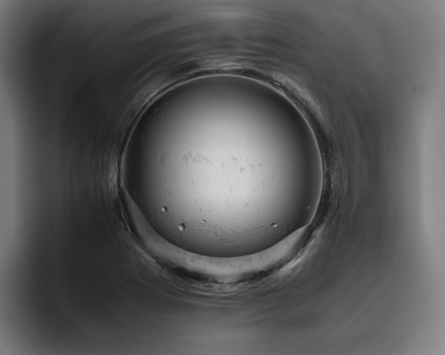 X0000093431273200710121155