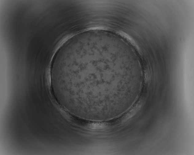 X0000093431274200710121155