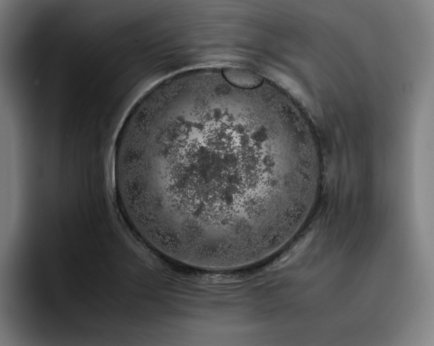 X0000093431275200710121155