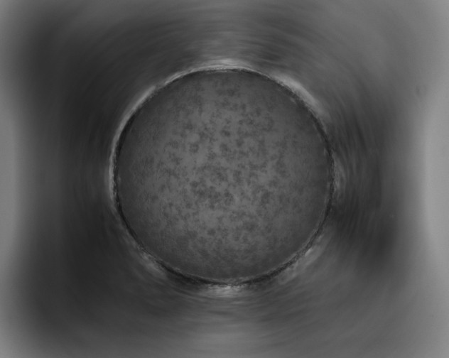 X0000093431278200710121155