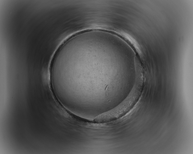 X0000093431280200710121155