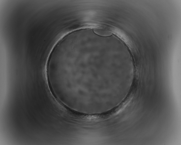 X0000093431283200710121155