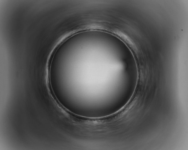 X0000093431286200710121155