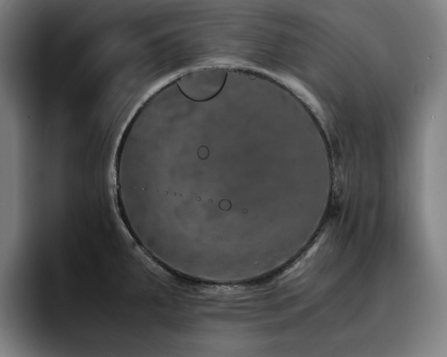 X0000093431287200710121155