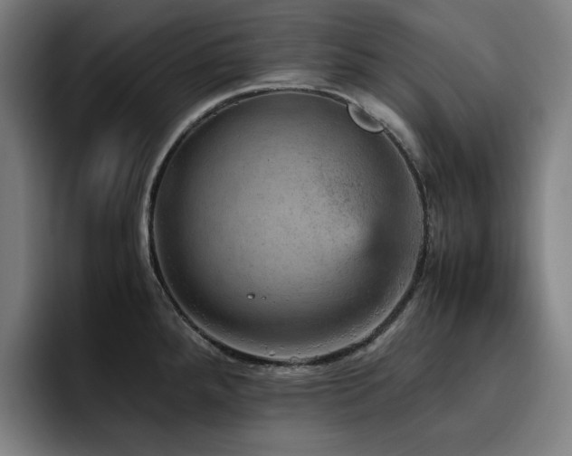 X0000093431288200710121155