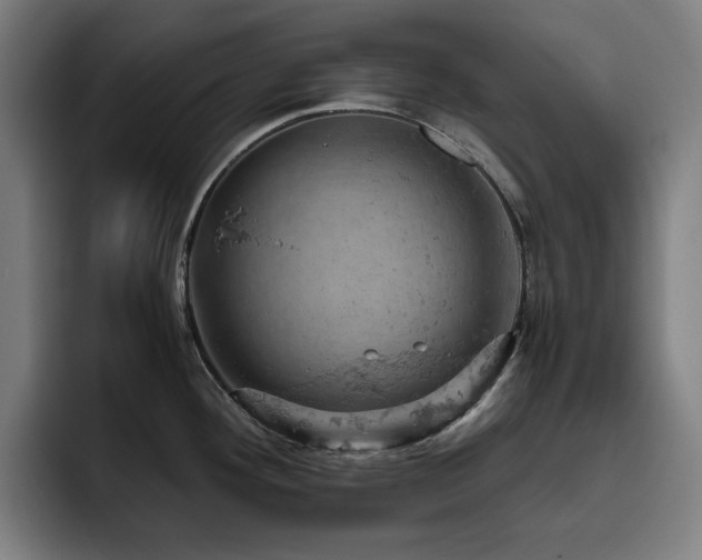 X0000093431292200710121155