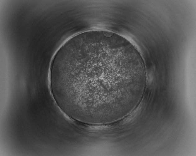 X0000093431294200710121155
