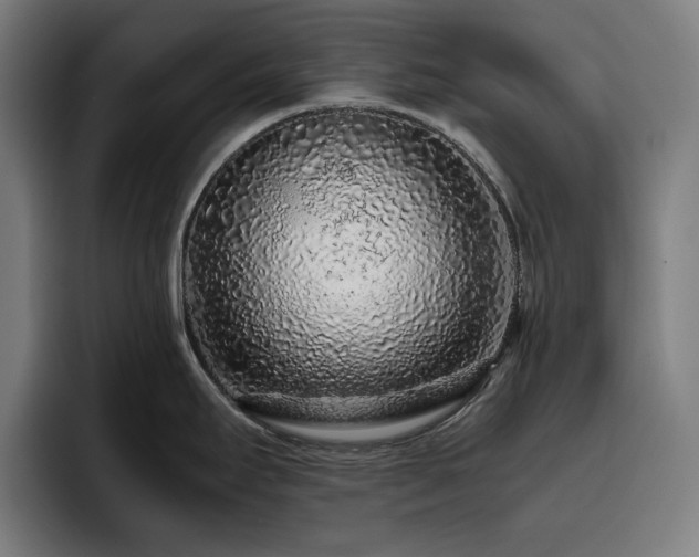 X0000093431295200710121155