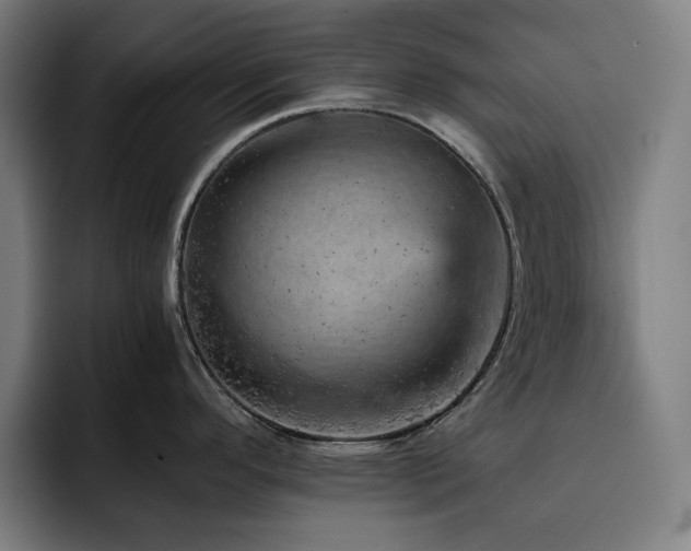 X0000093431296200710121155