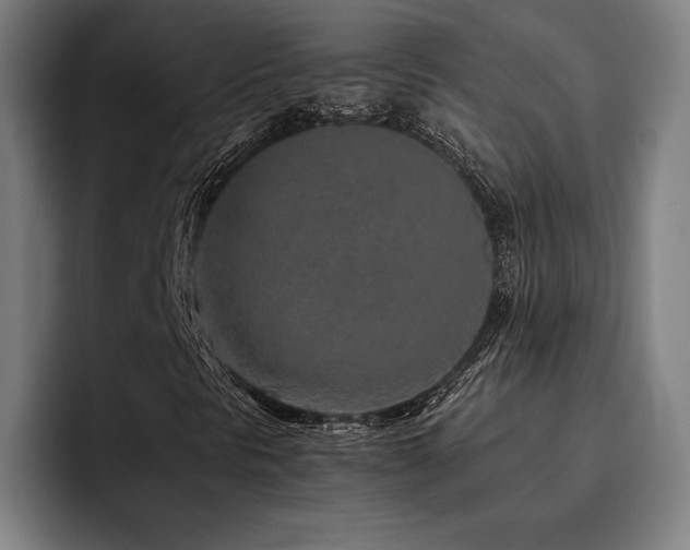 X0000093431297200710121154