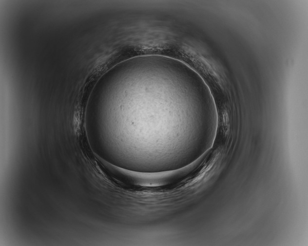 X0000093431300200710121154