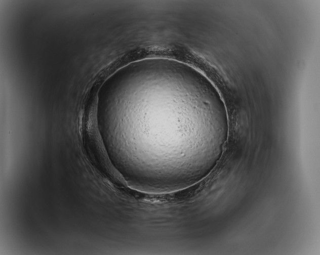 X0000093431301200710121154