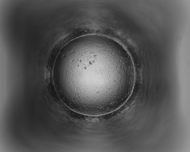 X0000093431302200710121154
