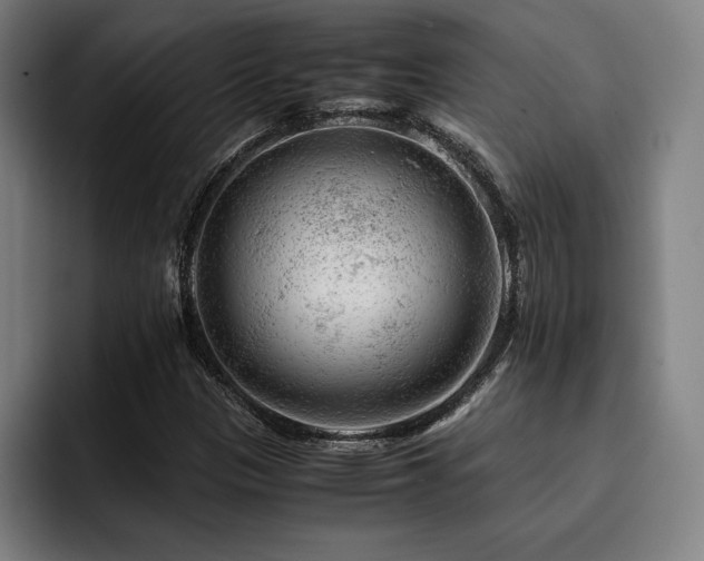 X0000093431305200710121154