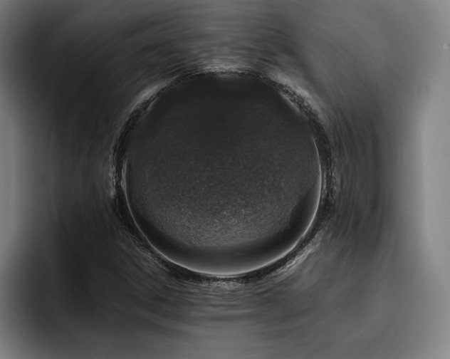 X0000093431306200710121154