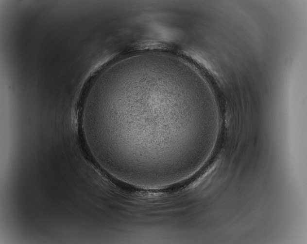 X0000093431309200710121154