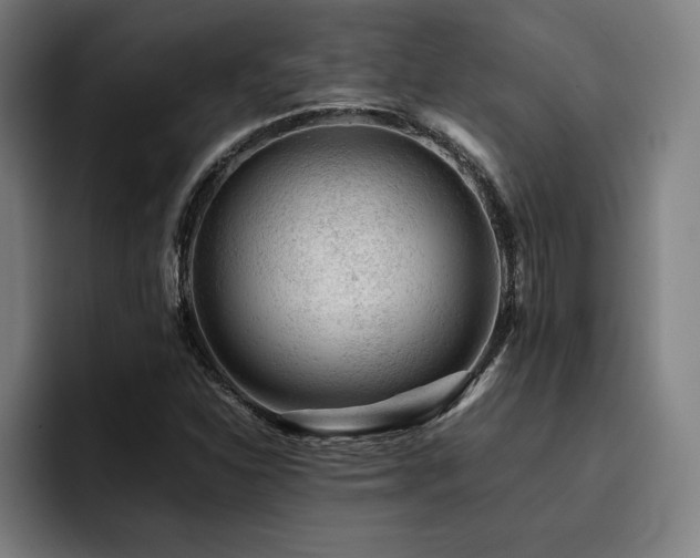 X0000093431310200710121154