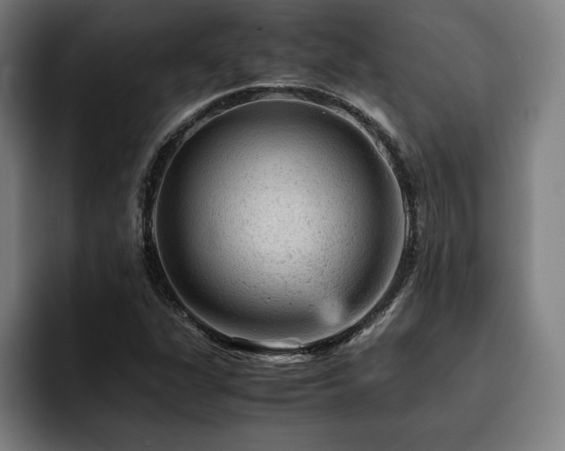 X0000093431311200710121154