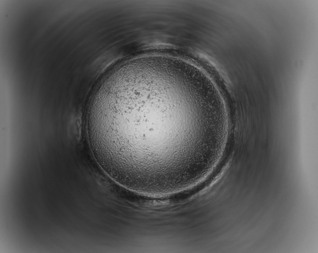 X0000093431313200710121154