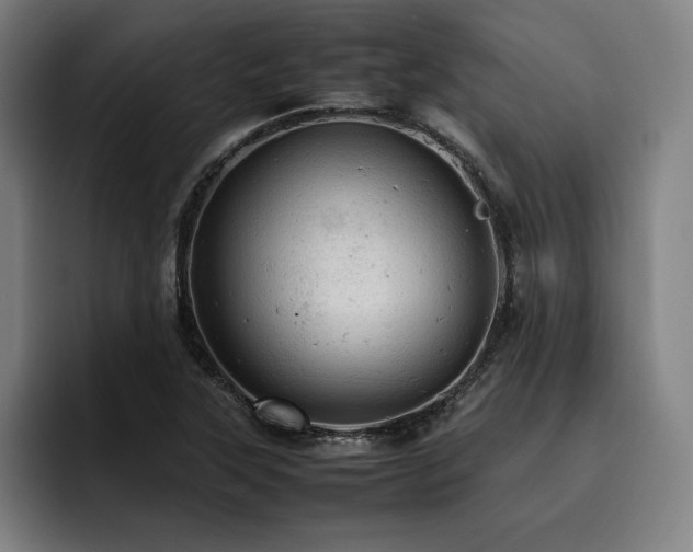 X0000093431315200710121154