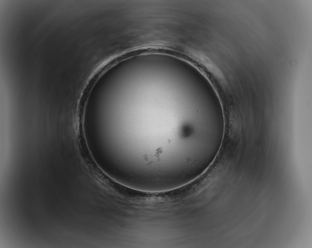 X0000093431316200710121154