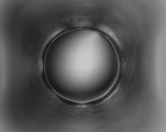 X0000093431317200710121154
