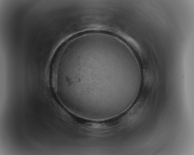 X0000093431318200710121154