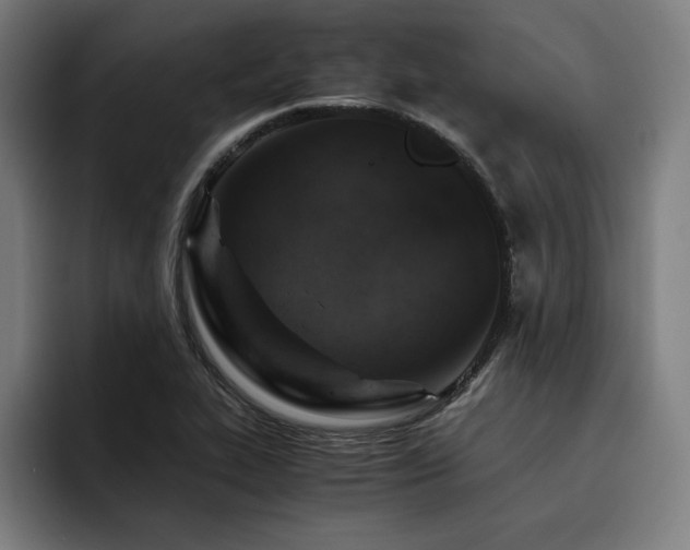 X0000093431319200710121154