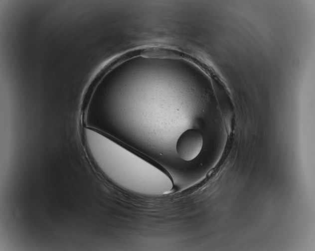 X0000093431320200710121154