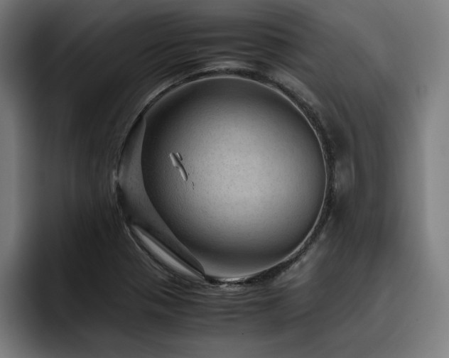 X0000093431321200710121154