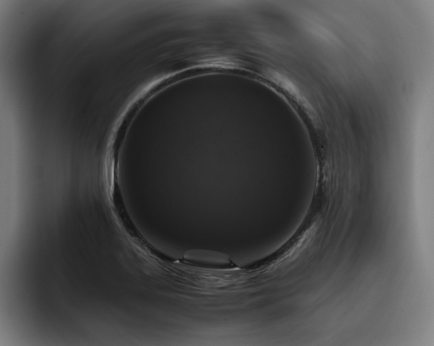 X0000093431323200710121154
