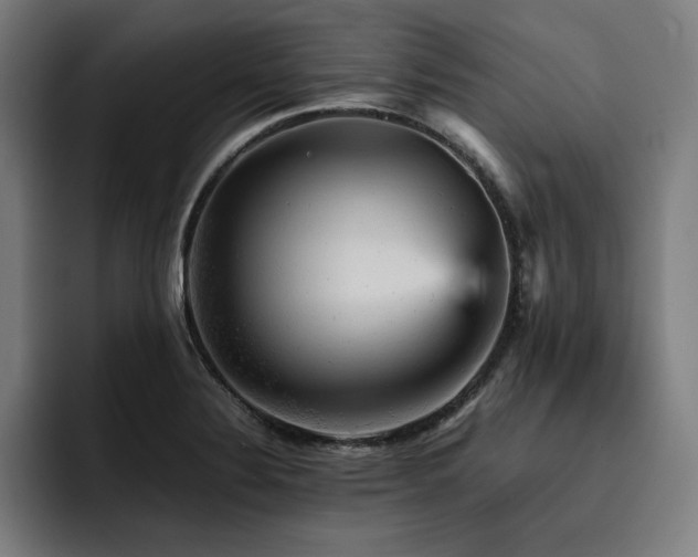 X0000093431324200710121154
