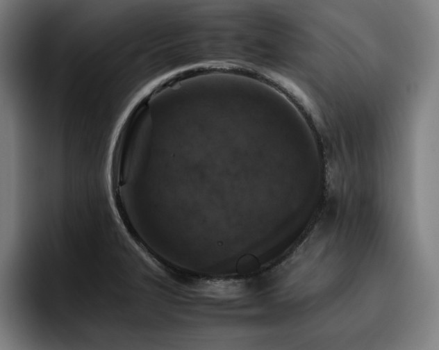 X0000093431327200710121154