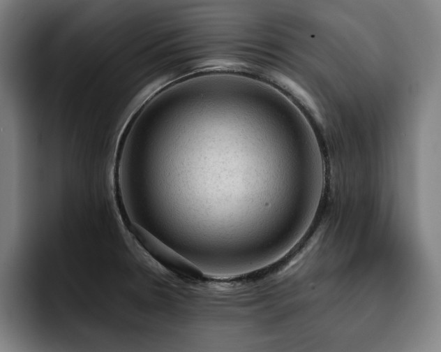 X0000093431330200710121154