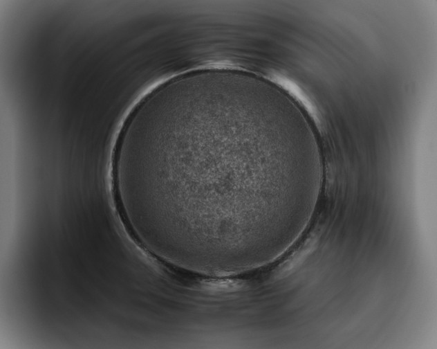 X0000093431331200710121154