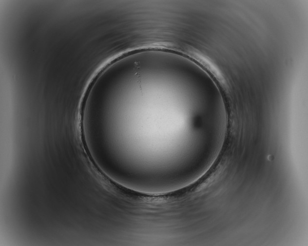 X0000093431332200710121154