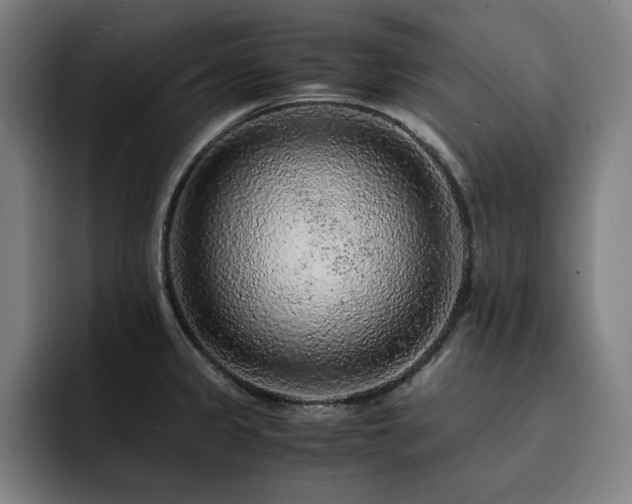 X0000093431333200710121155