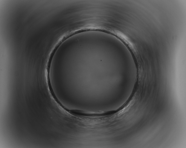 X0000093431334200710121155