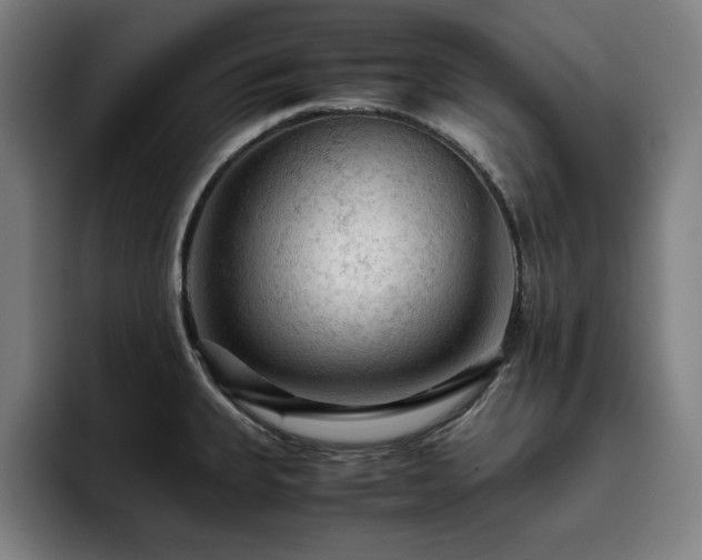 X0000093431335200710121155