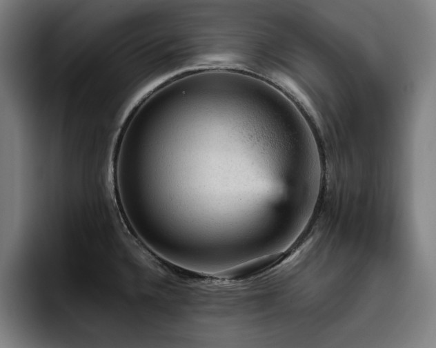 X0000093431336200710121155