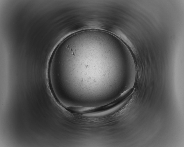 X0000093431339200710121155