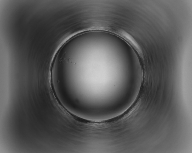 X0000093431340200710121155