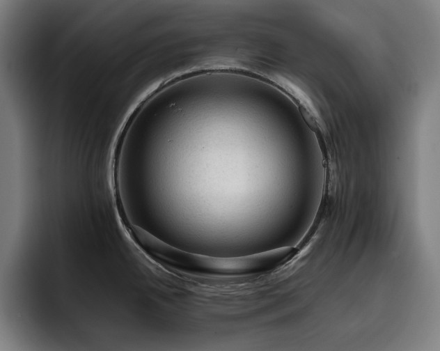 X0000093431342200710121155