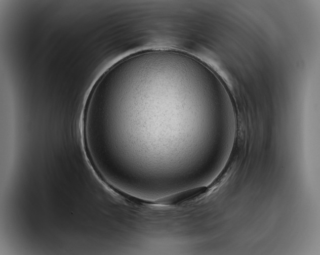 X0000093431343200710121155