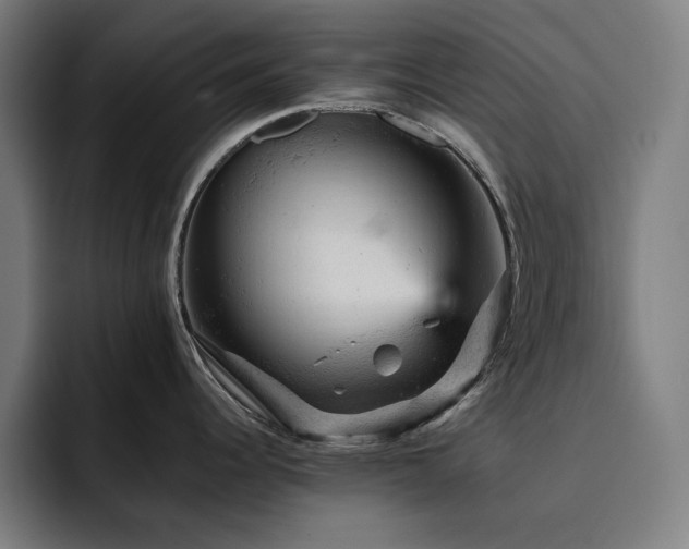 X0000093431344200710121155