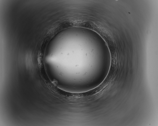 X0000093431346200710121154