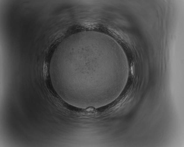 X0000093431347200710121154