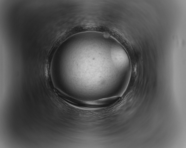 X0000093431348200710121154