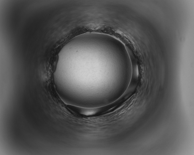 X0000093431349200710121154